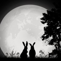 Deer? Rabbit? What do you see on the Moon?